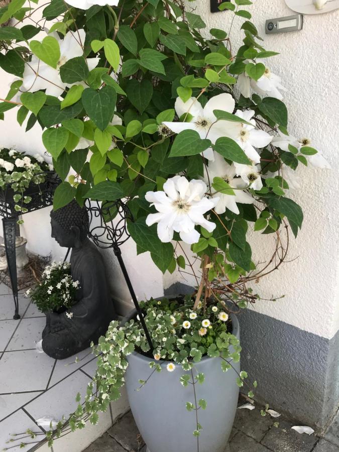 Die Gemuetlichkeit Bensheim Exterior foto